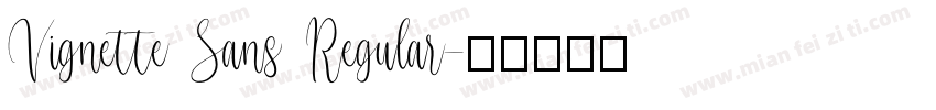 Vignette Sans Regular字体转换